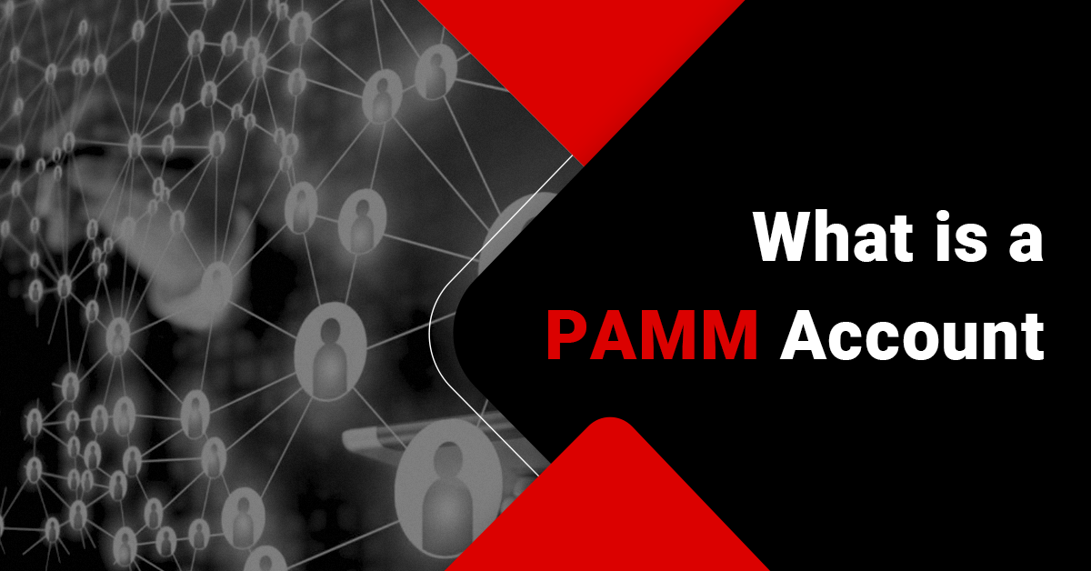 what is PAMM account