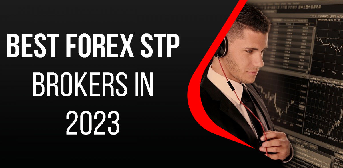 Forex STP Brokers