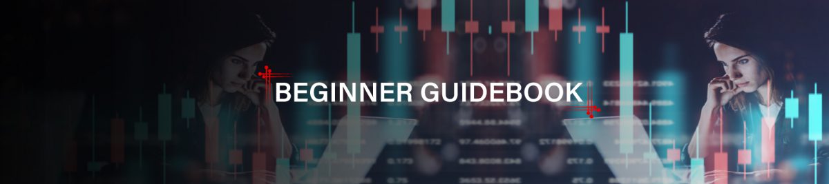 Beginner Guidebook