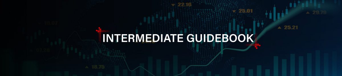 Intermediate Guidebook