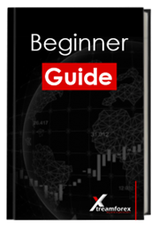 Beginner Guide