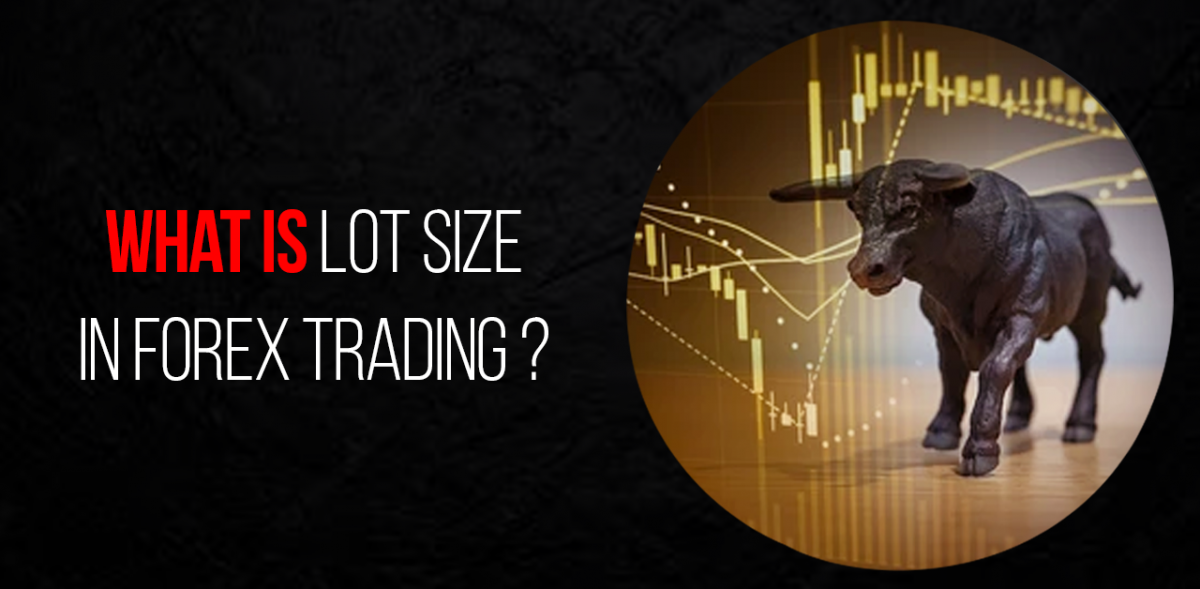 Lot Size in Forex Trading