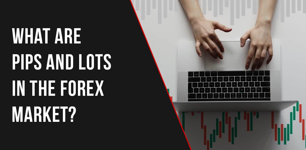 What are Pips and Lots in the forex market?