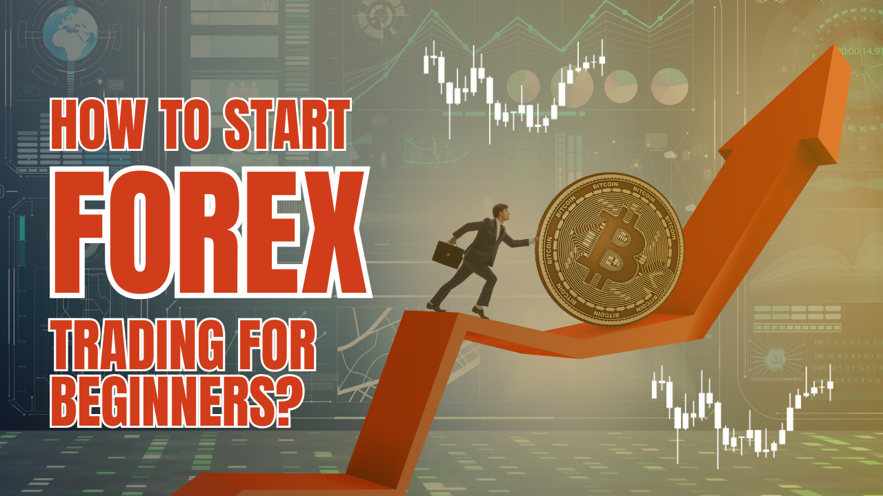 Forex Trading For Beginners - XtremeMarkets