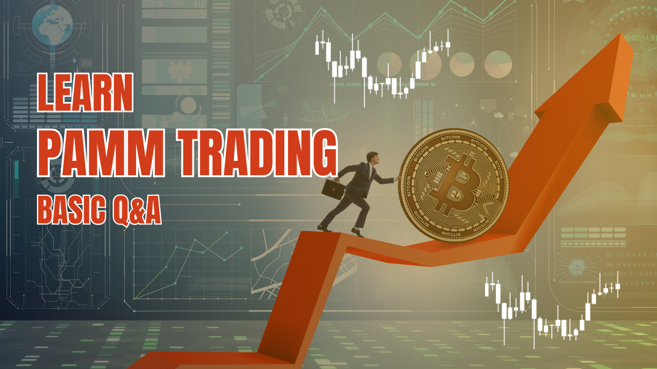 Learn PAMM Trading: Basics & Top Questions Answered