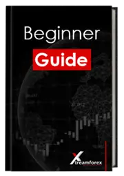 Beginner Guide Book