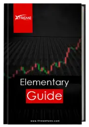 Elementary Guide Book