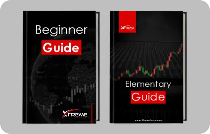 Branding Guidelines